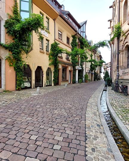 Freiburg, leafy lanes