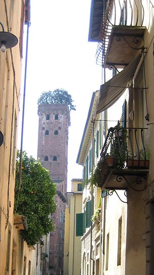 Lucca, the Guinigi Tower from a lane