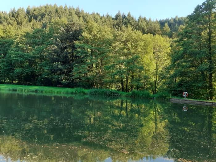 Sulzburg abbey and forest