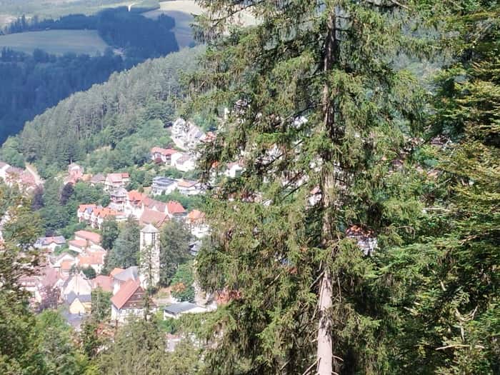 Rhine Graben landscape